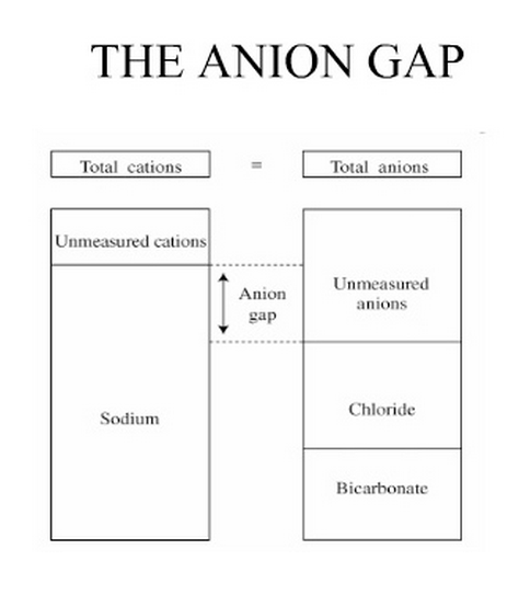 anion gap